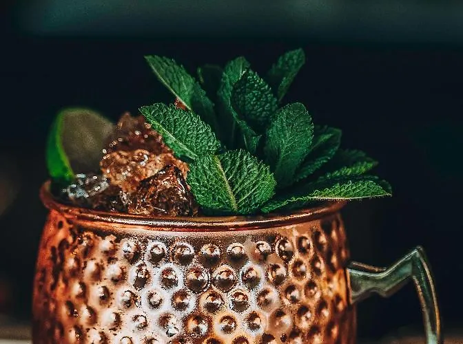 Mayrena Restaurant Eu (Seine-Maritime)